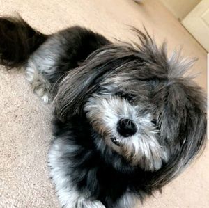 Meet your Posher, Noura